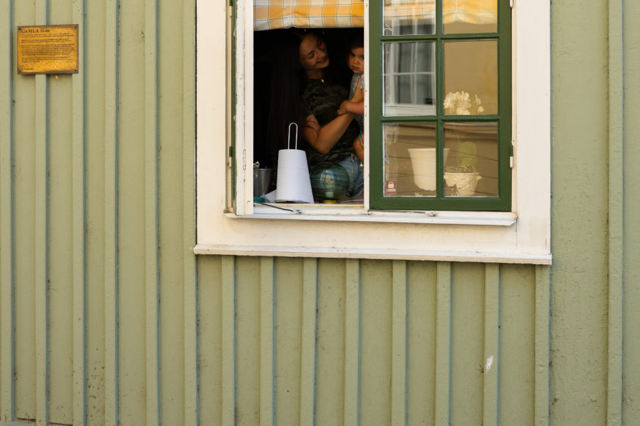 f.a. zweden lin groen huis