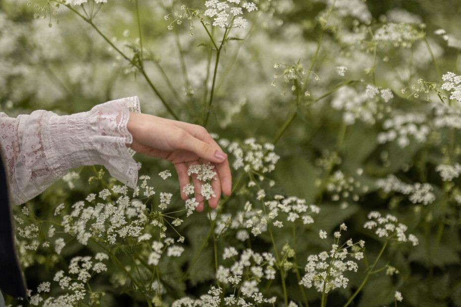 hand in gipskruid